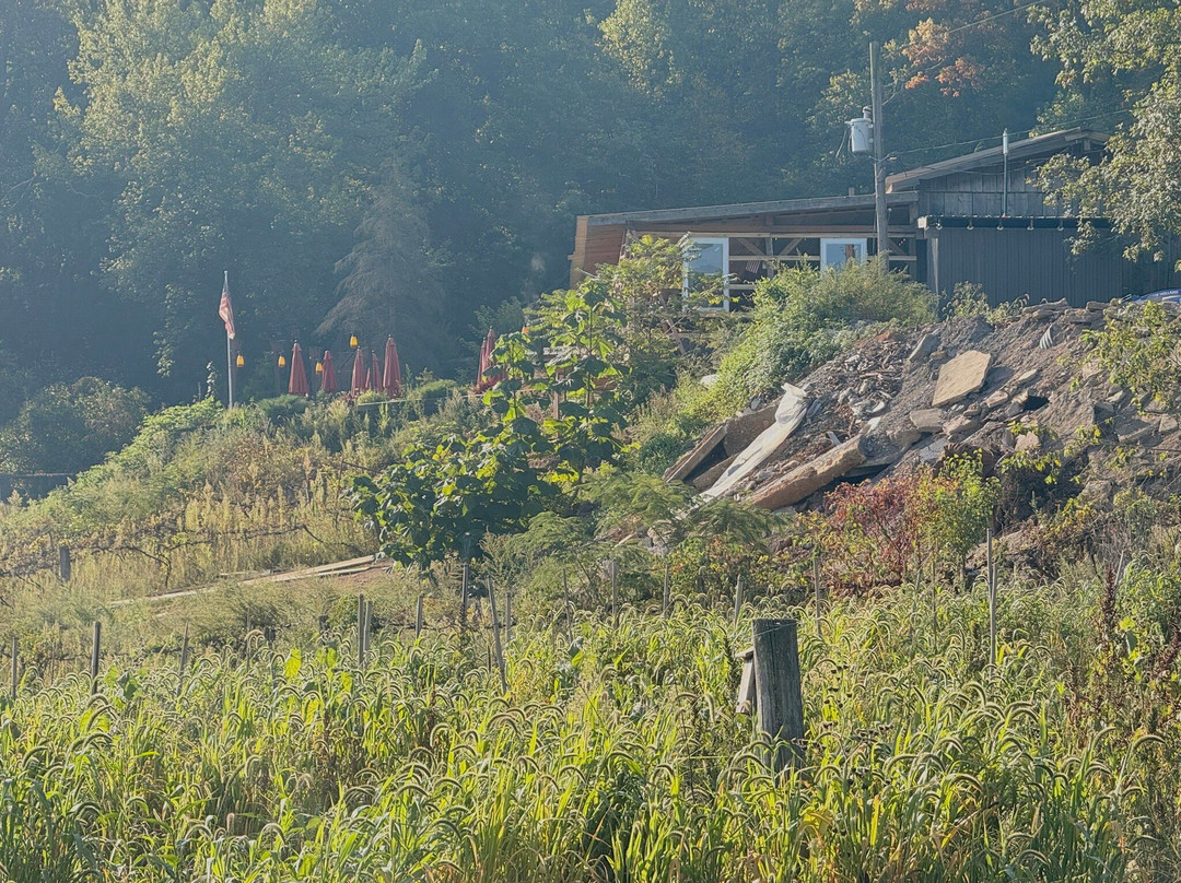 Buddy Boy Winery
