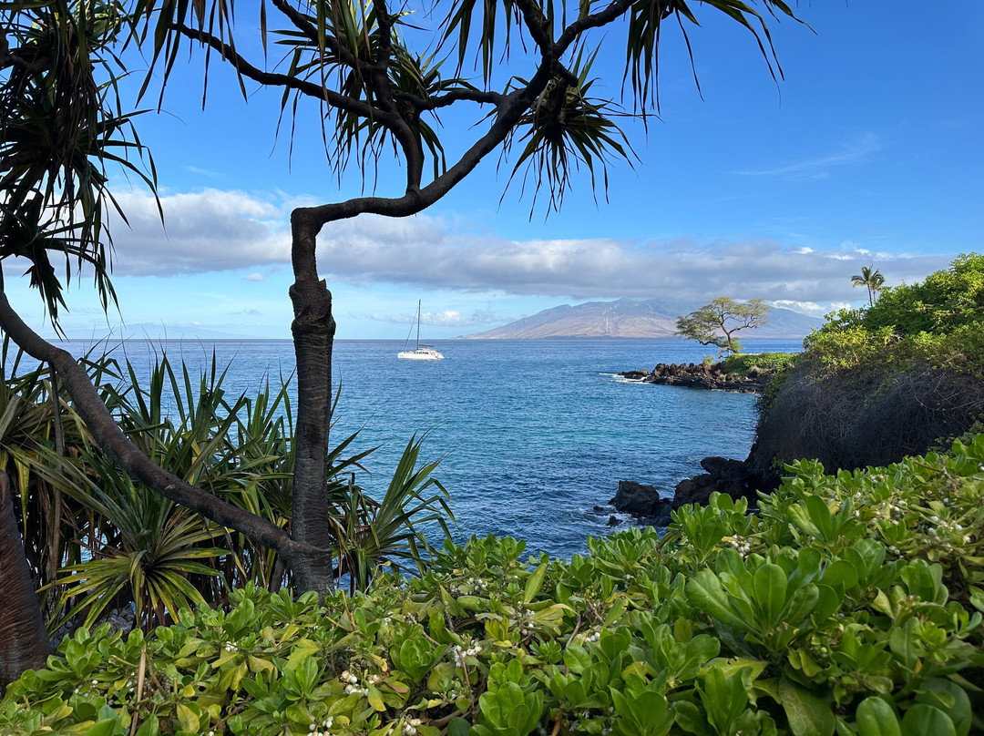 威利亚海滩路-维雷亚必去景点