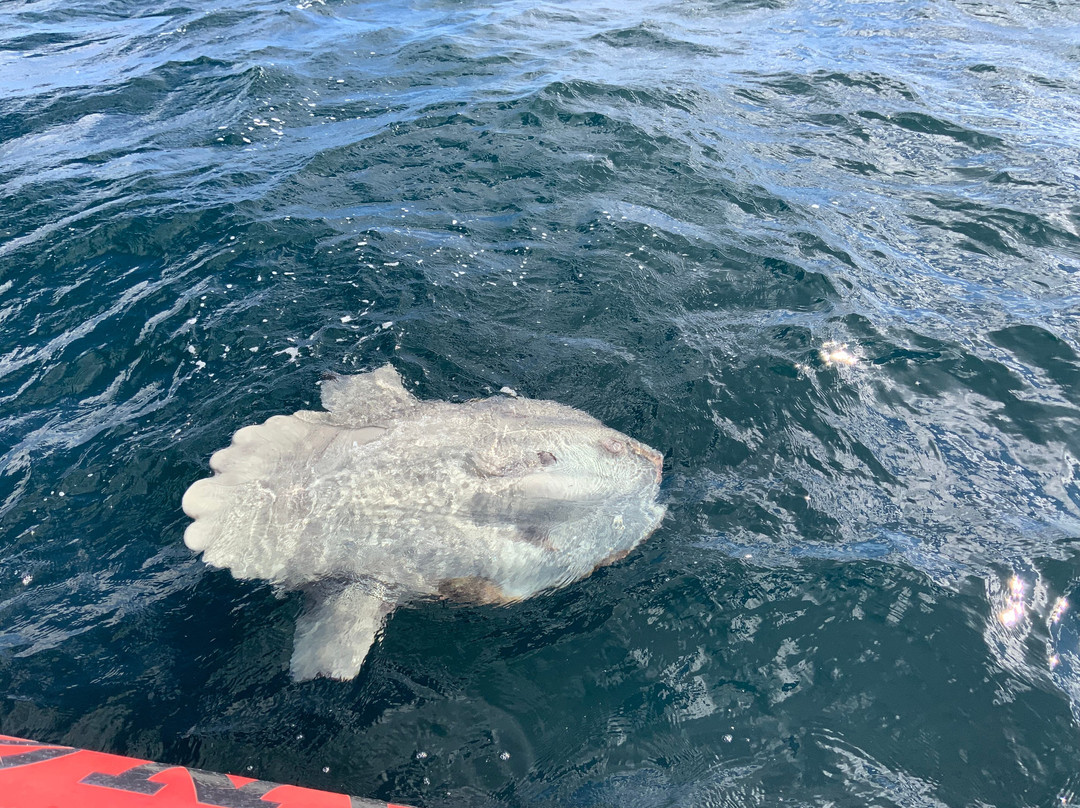 Ocean Quest Adventure Resort-Conception Bay South必去景点