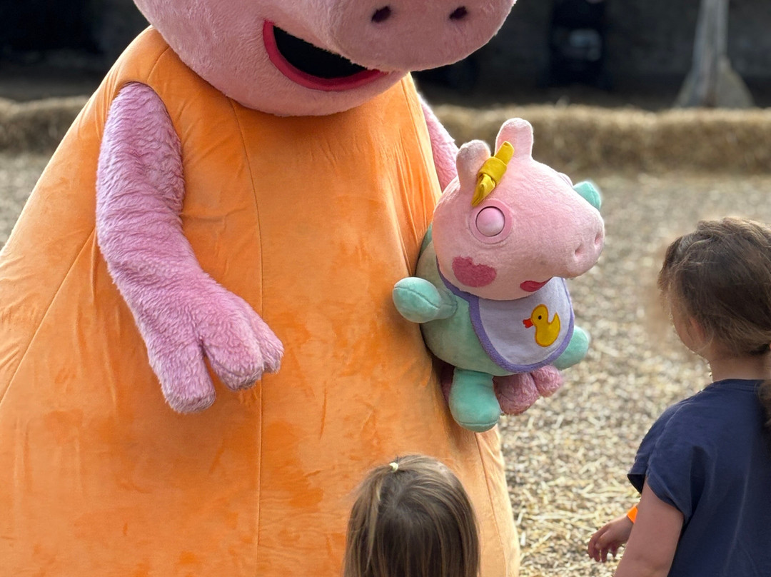 Sharnfold Farm-伊斯特本必去景点