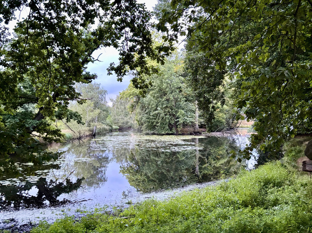 Hotel Grosse Teichsmuehle主图