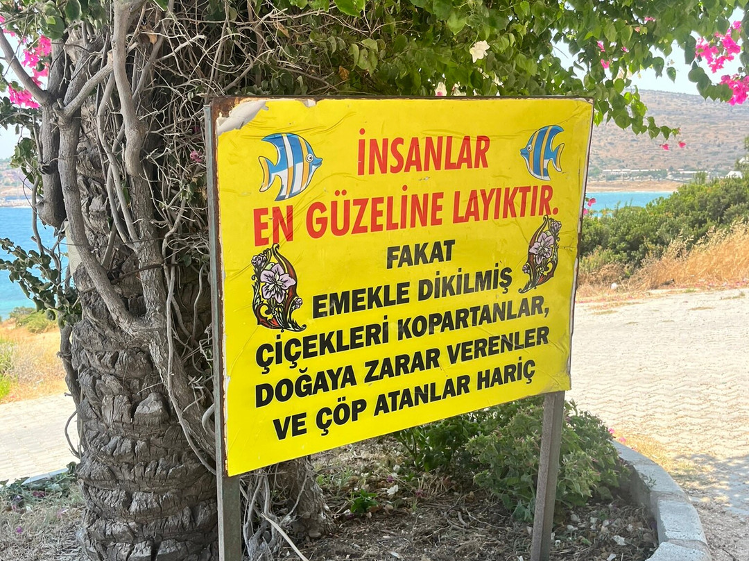 Duvar Akvaryumlu Ev-切什梅必去景点