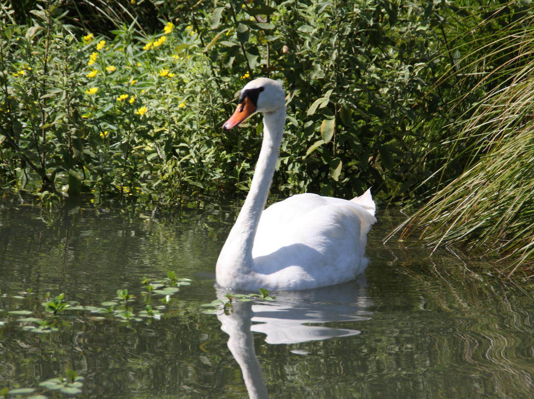 Navigazione Mincio-Rivalta sul Mincio必去景点