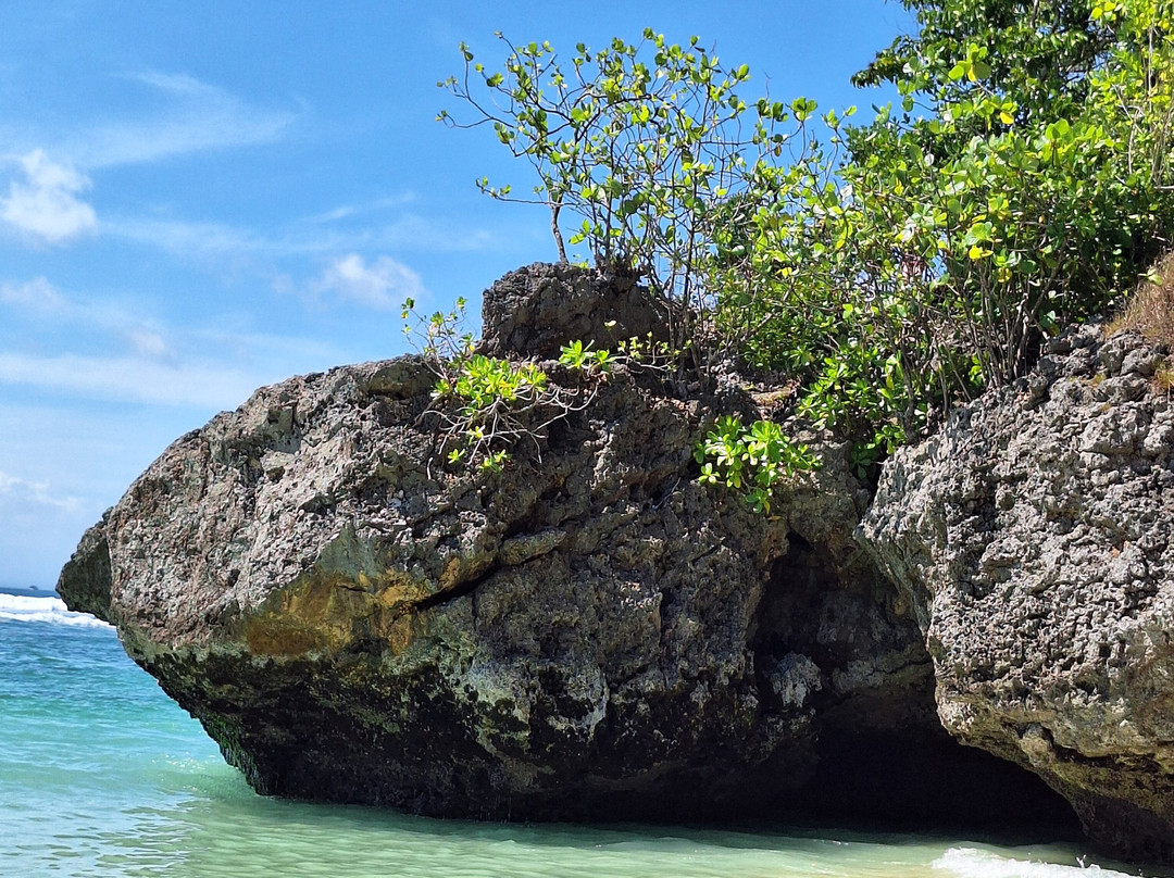 Kirani Bali Tour-罗威那海滩必去景点