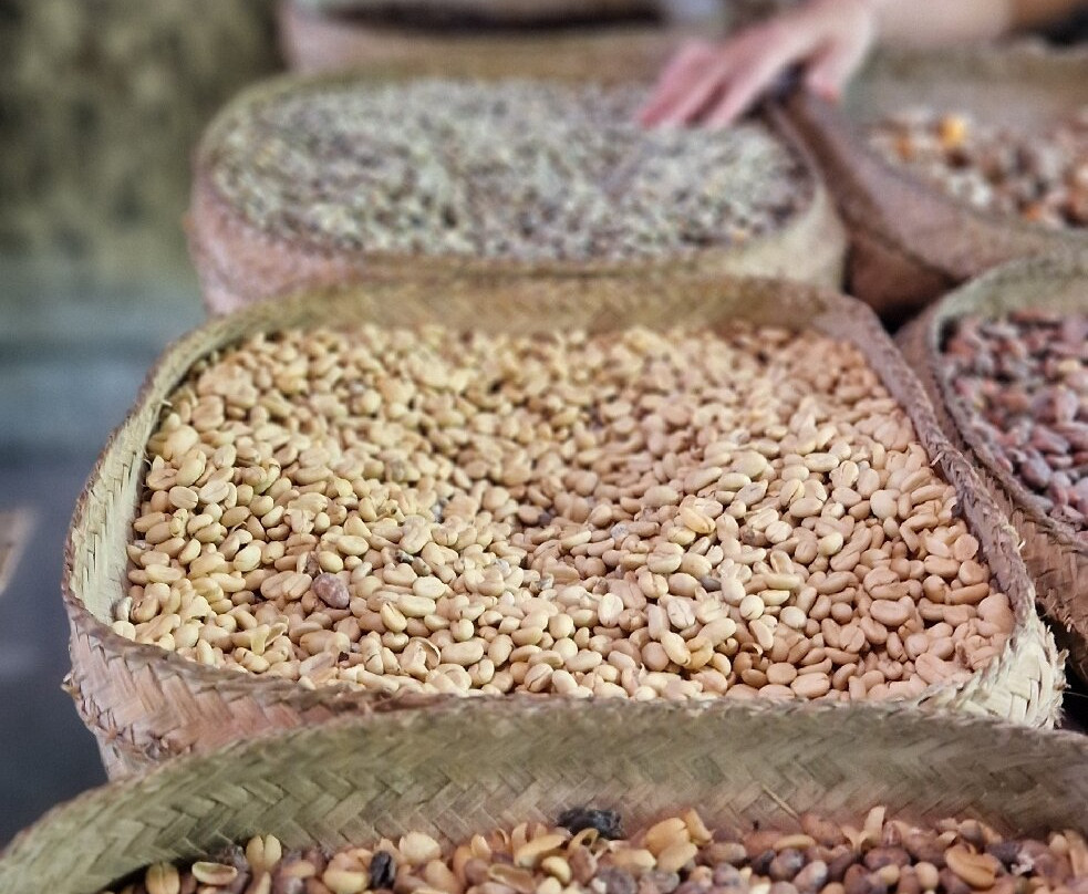 Cantik Agriculture-吉安雅必去景点