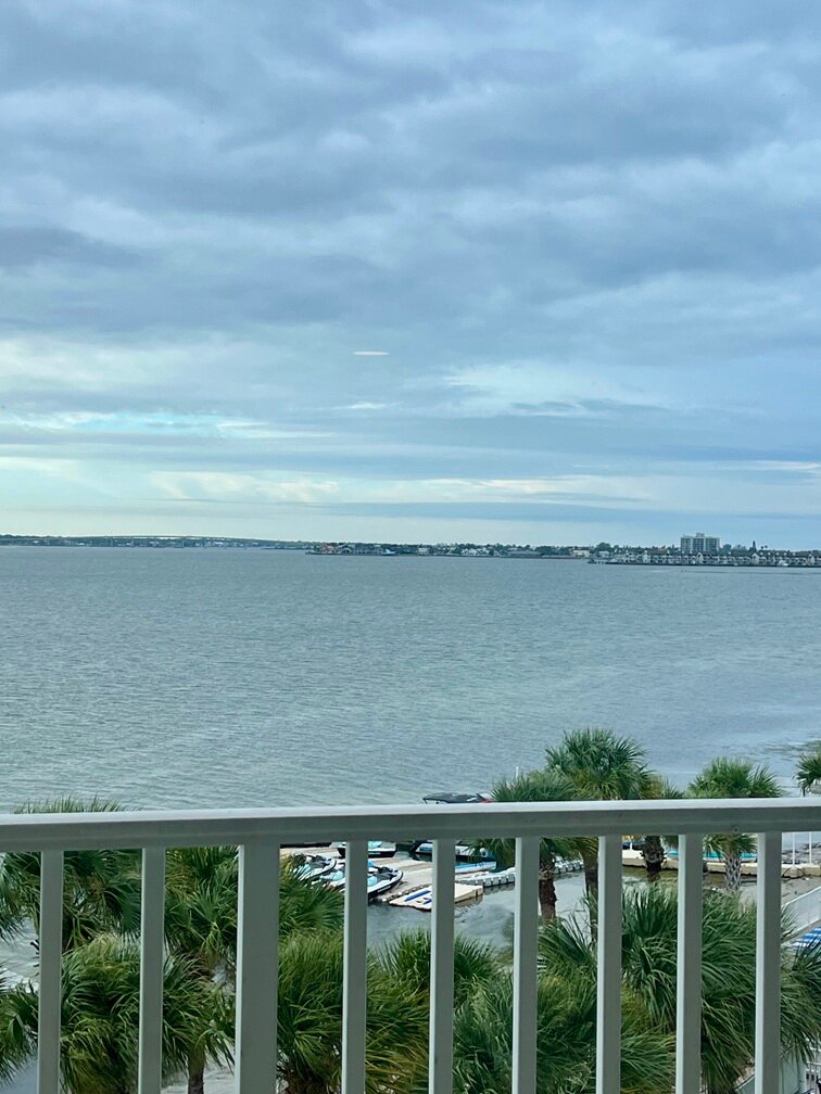 Clearwater Beach Marriott Resort on Sand Key-酒店景观