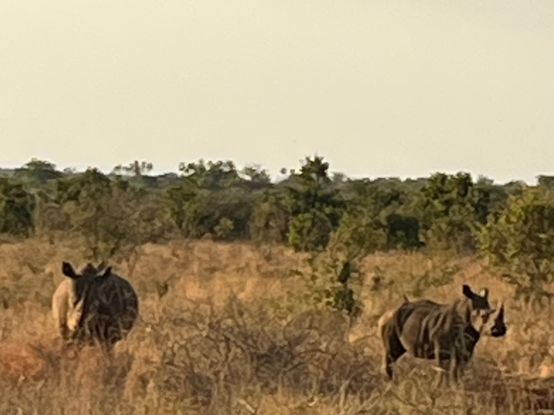 Banok Safaris-内罗毕必去景点