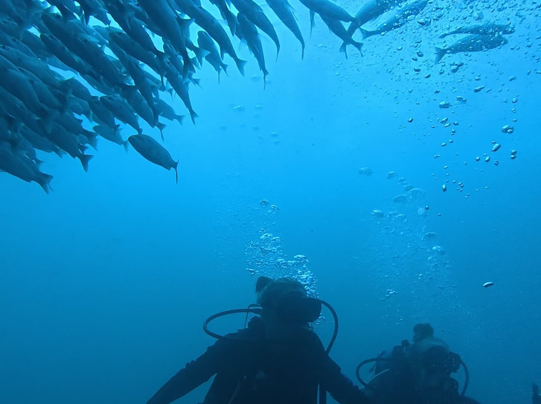 Scuba Tamarindo-塔马林多必去景点