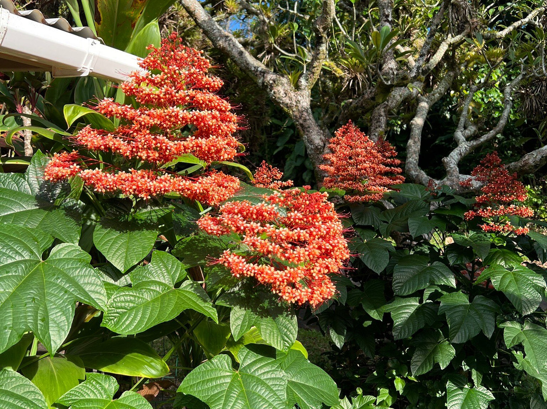 海豚湾酒店主图