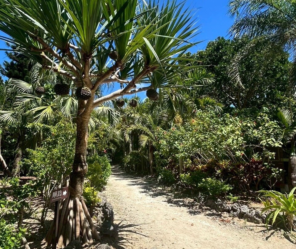 Manta no Hama-竹富町由布岛必去景点