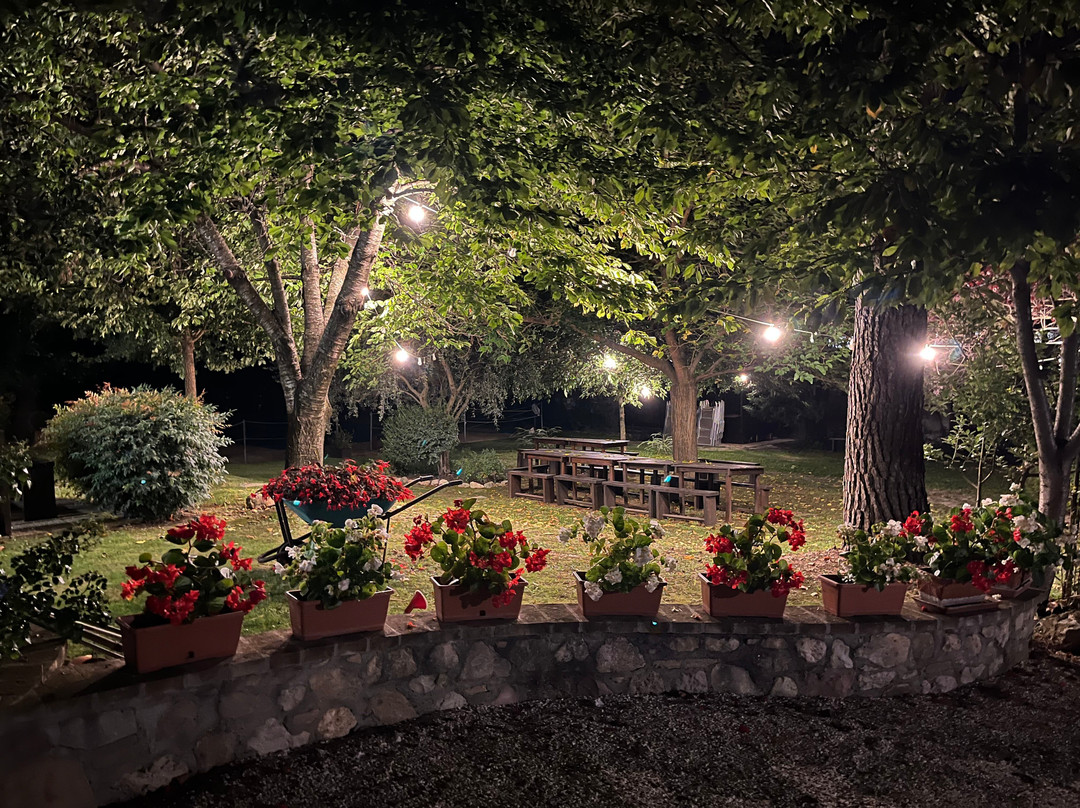 Agriturismo Il Giardino dei Ciliegi主图