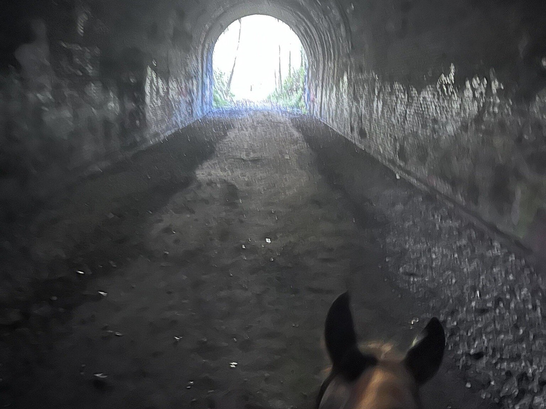 Uncle Buck's Riding Stable-New Marshfield必去景点