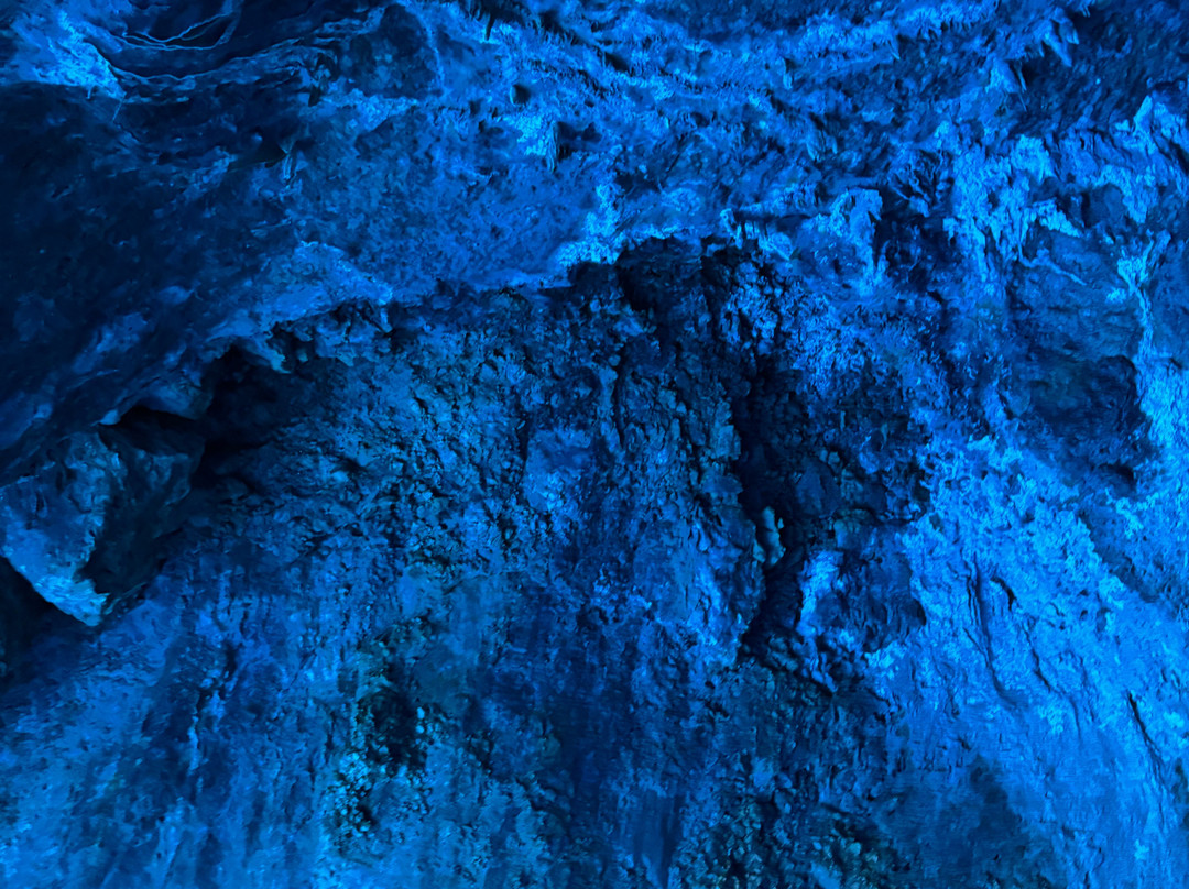 Daily Cruises Antonis-Kastellorizo必去景点