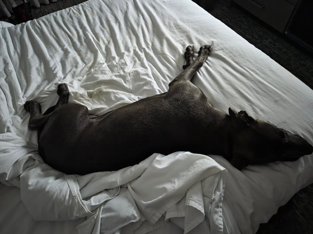 Doubletree By Hilton Denver - Westminister主图