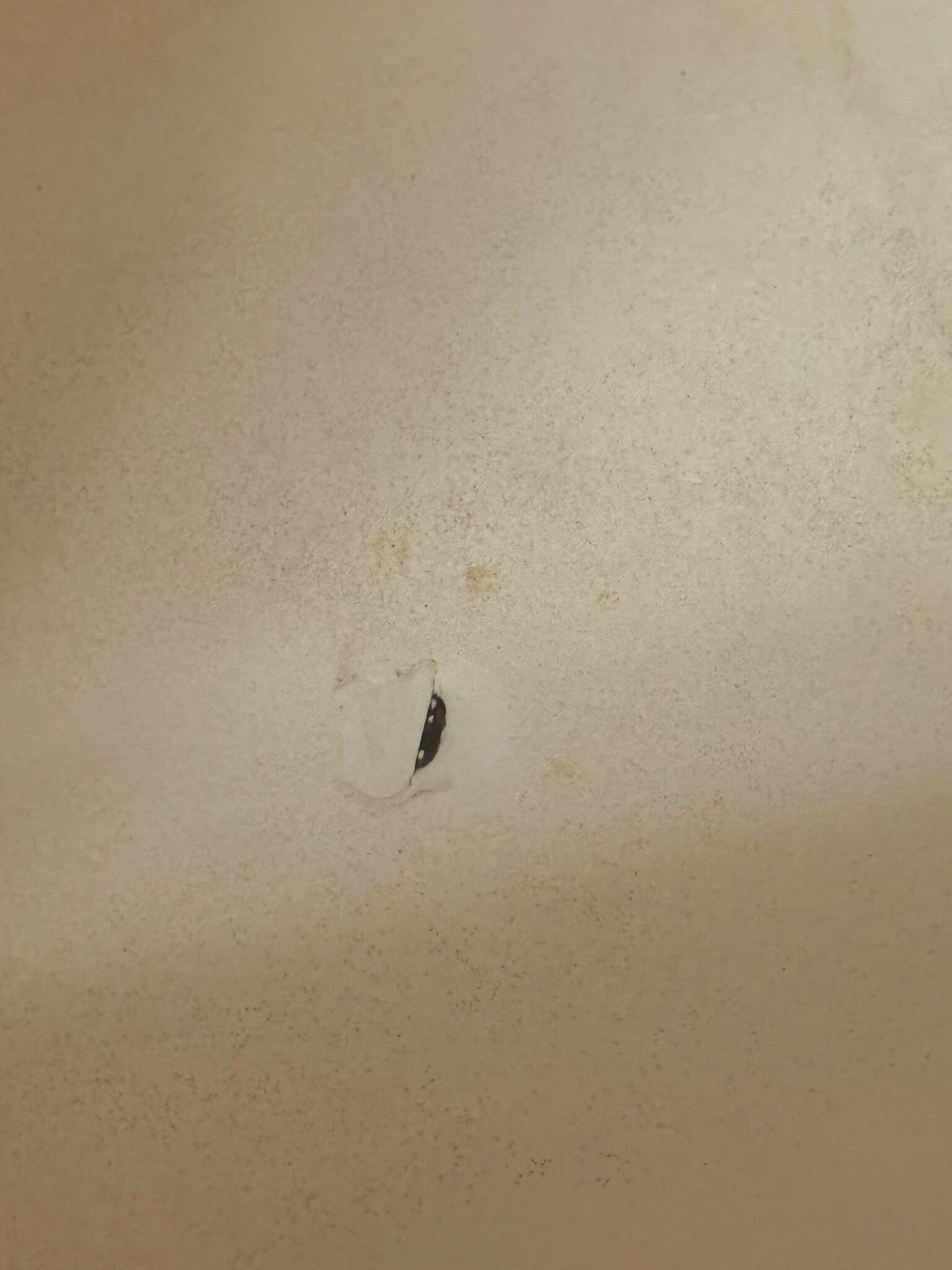 雪绒花公寓-官方