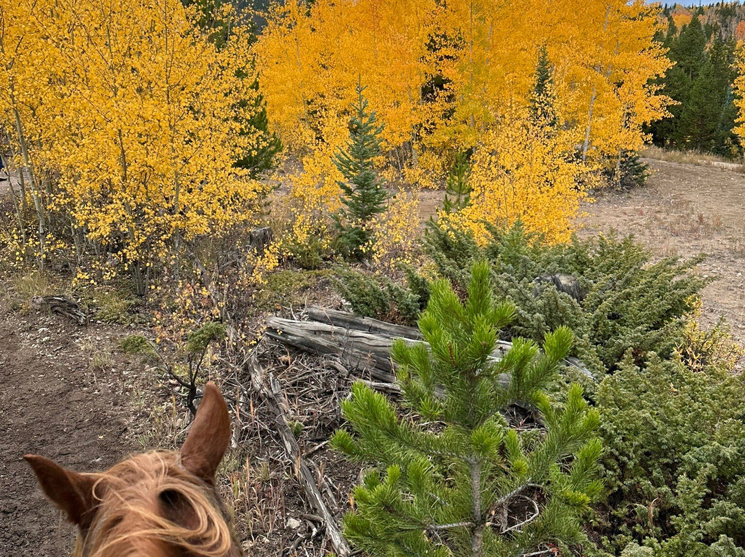 Rocky Mountain Stables-格兰比必去景点