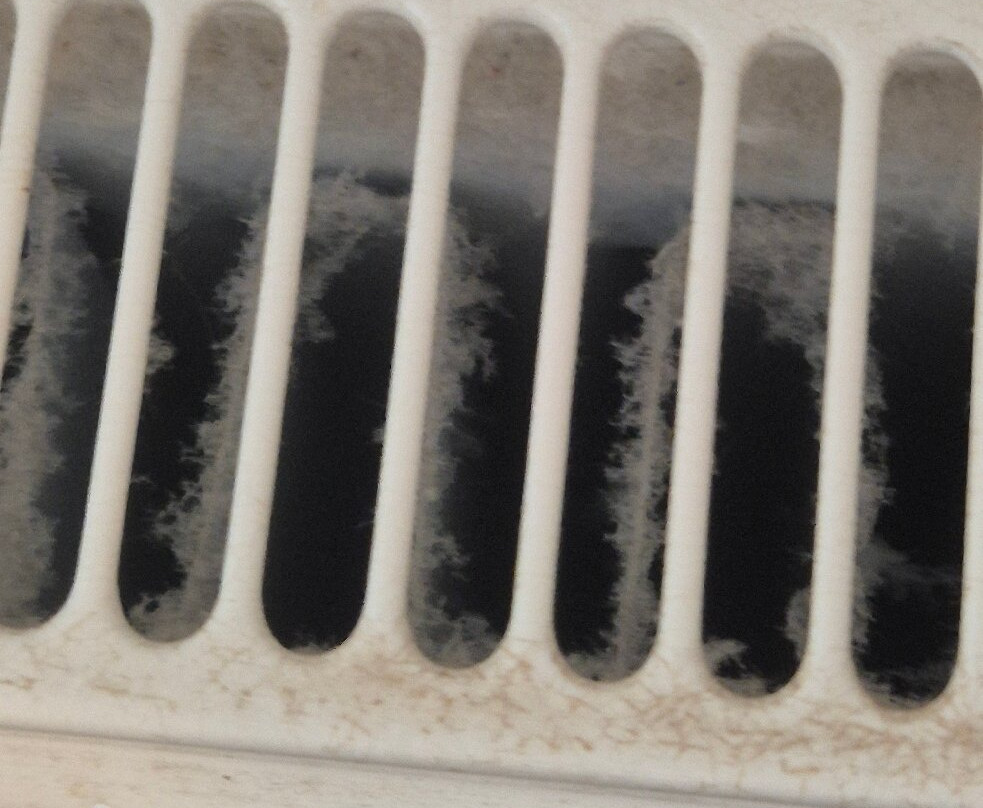 The Dolphin Hotel主图