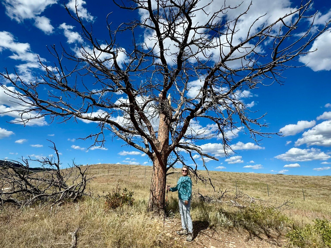 Wind Cave National Park-Wind Cave National Park必去景点