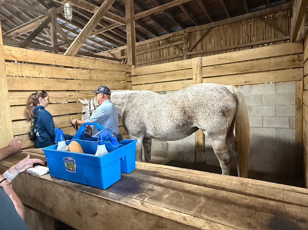 Taylor Made Farm-Nicholasville必去景点