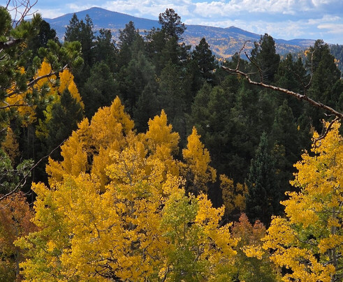 Mueller State Park-Divide必去景点