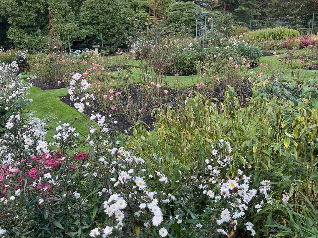 Hillsborough Castle and Gardens-Hillsborough必去景点