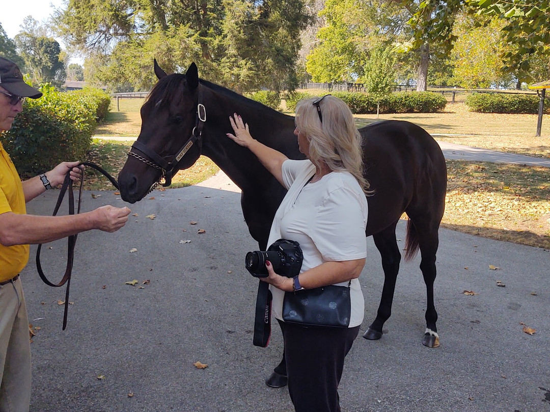 Claiborne Farm-Paris必去景点