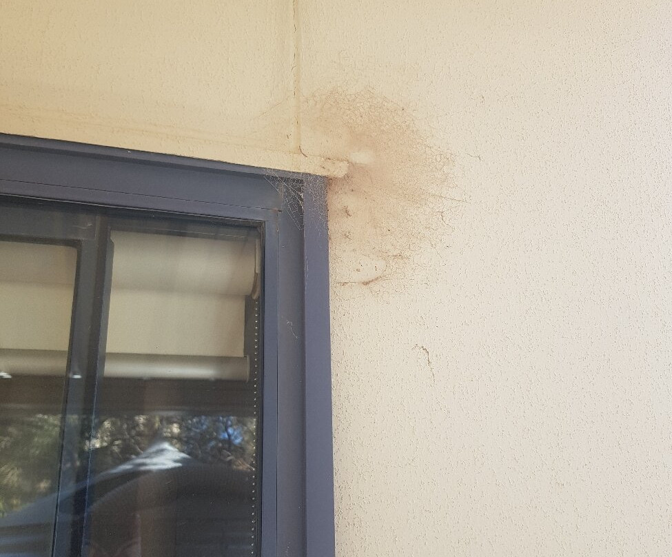 Comfort Inn & Suites Augusta Westside主图