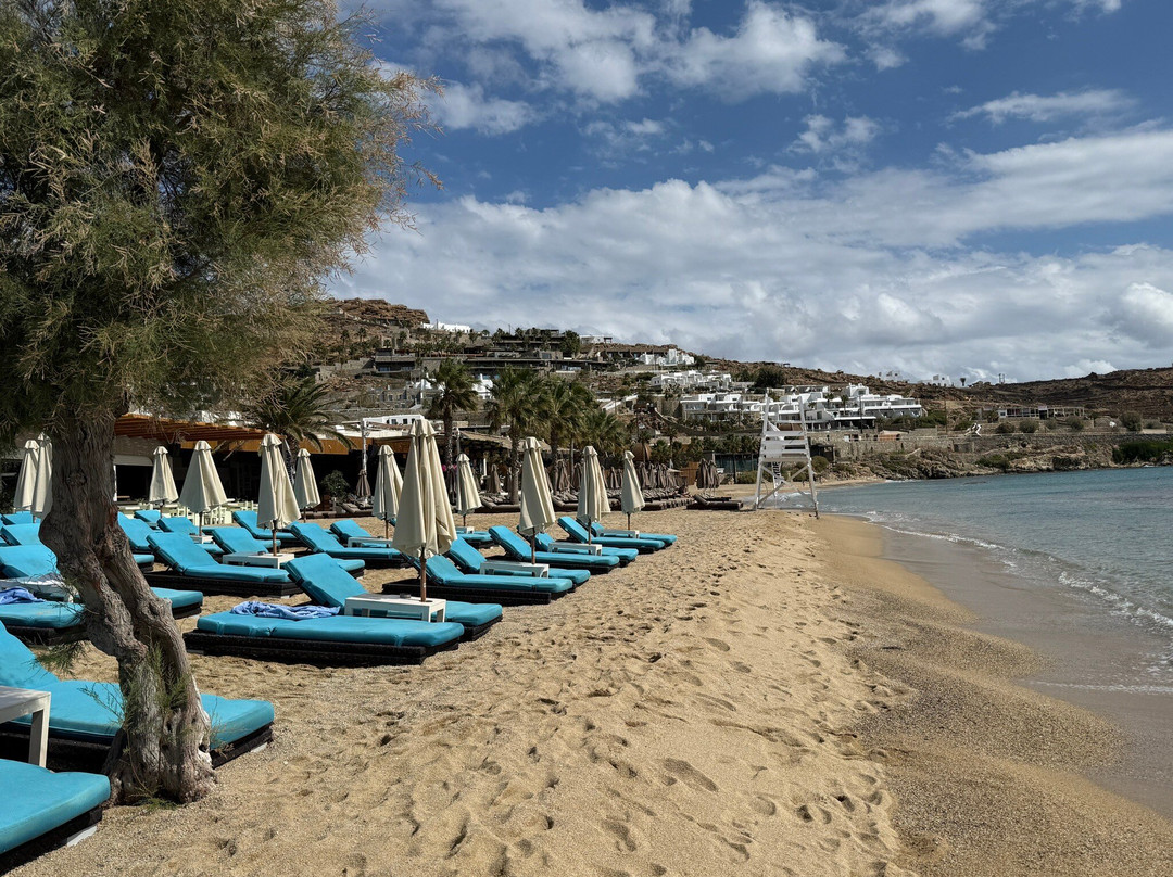 Transfers Services-米科诺斯必去景点