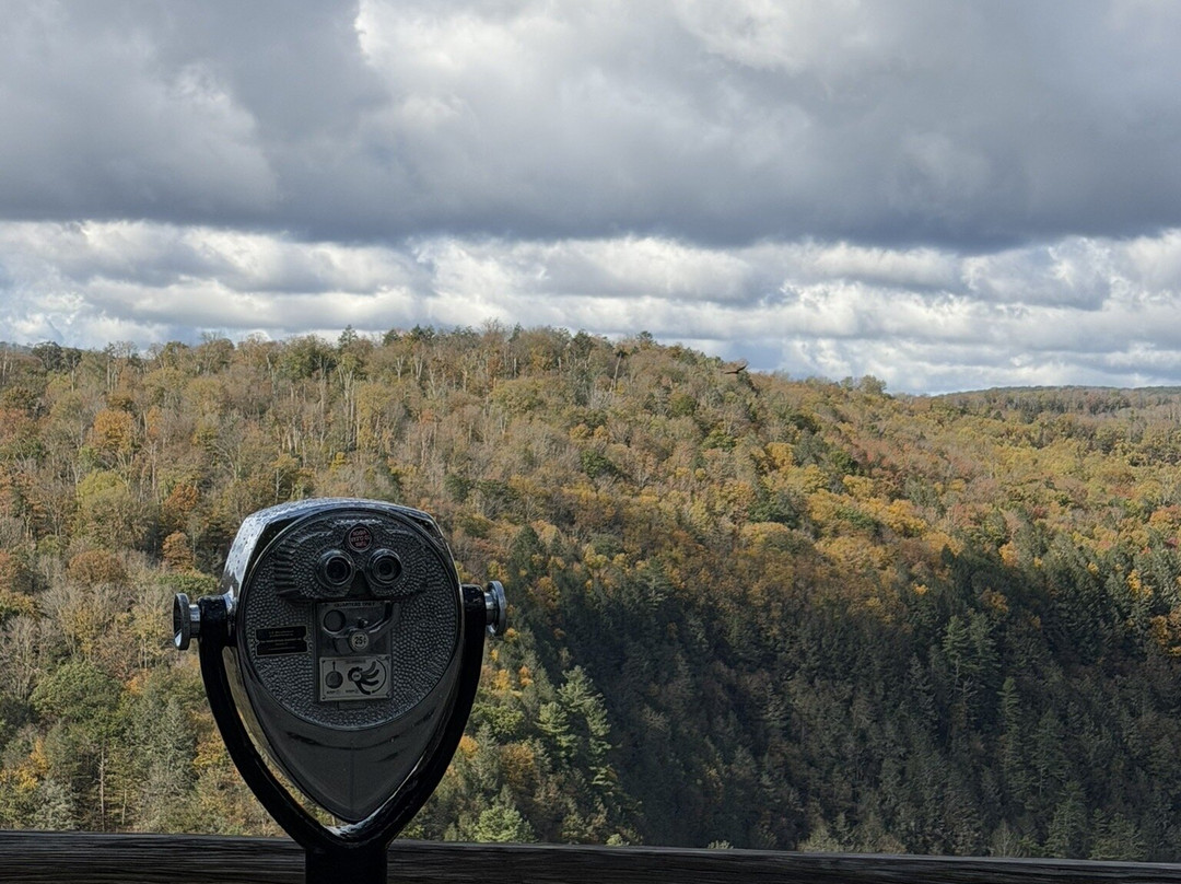 Pennsylvania Grand Canyon