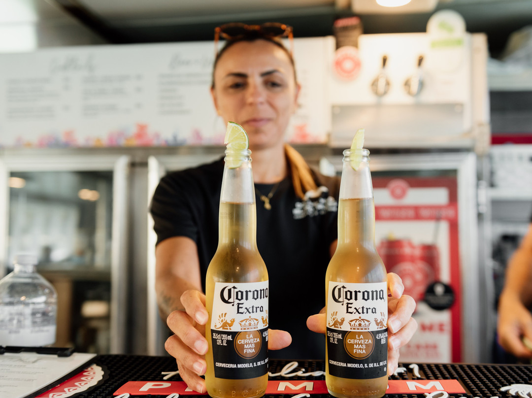 Dolphin Wild Island Cruises-布里斯班必去景点