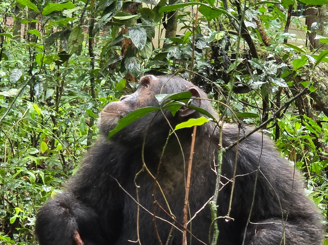 BUGOLI ADVENTURES LIMITED-卡巴莱必去景点