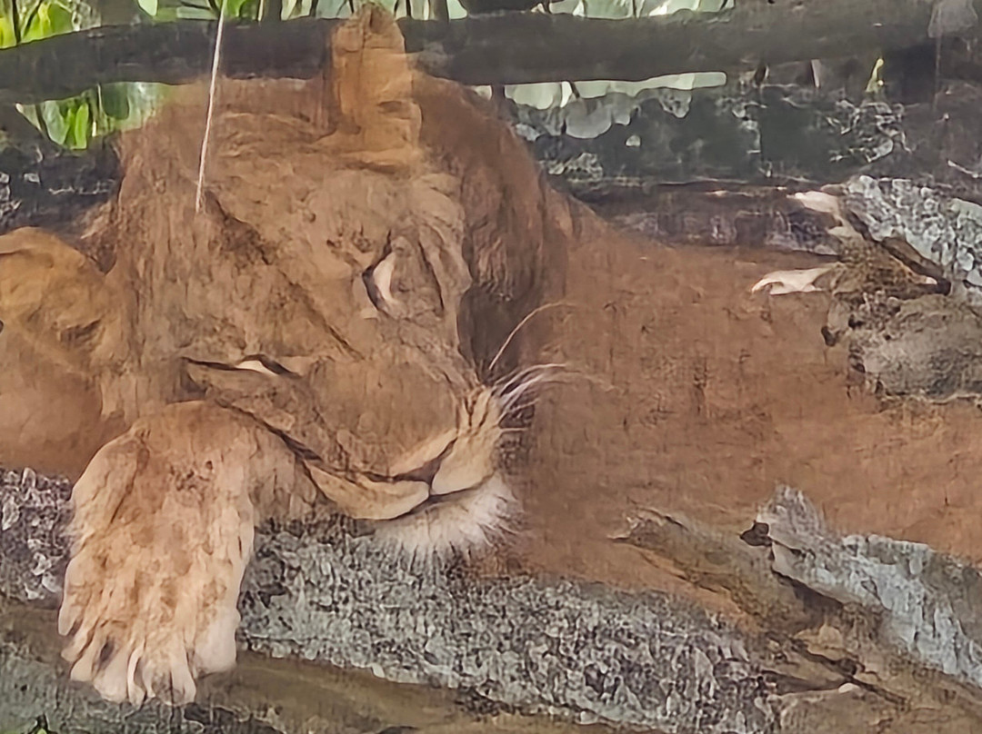 BUGOLI ADVENTURES LIMITED-卡巴莱必去景点