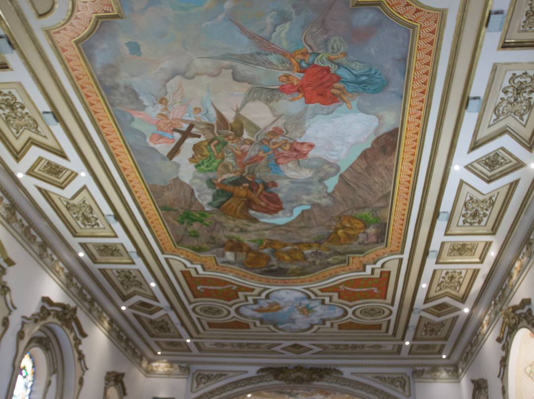 Catedral São Francisco das Chagas-陶巴特必去景点