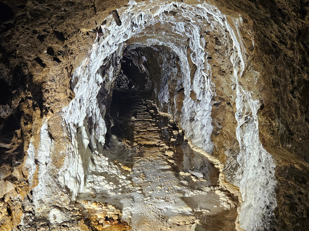 Miniera Ferrominers