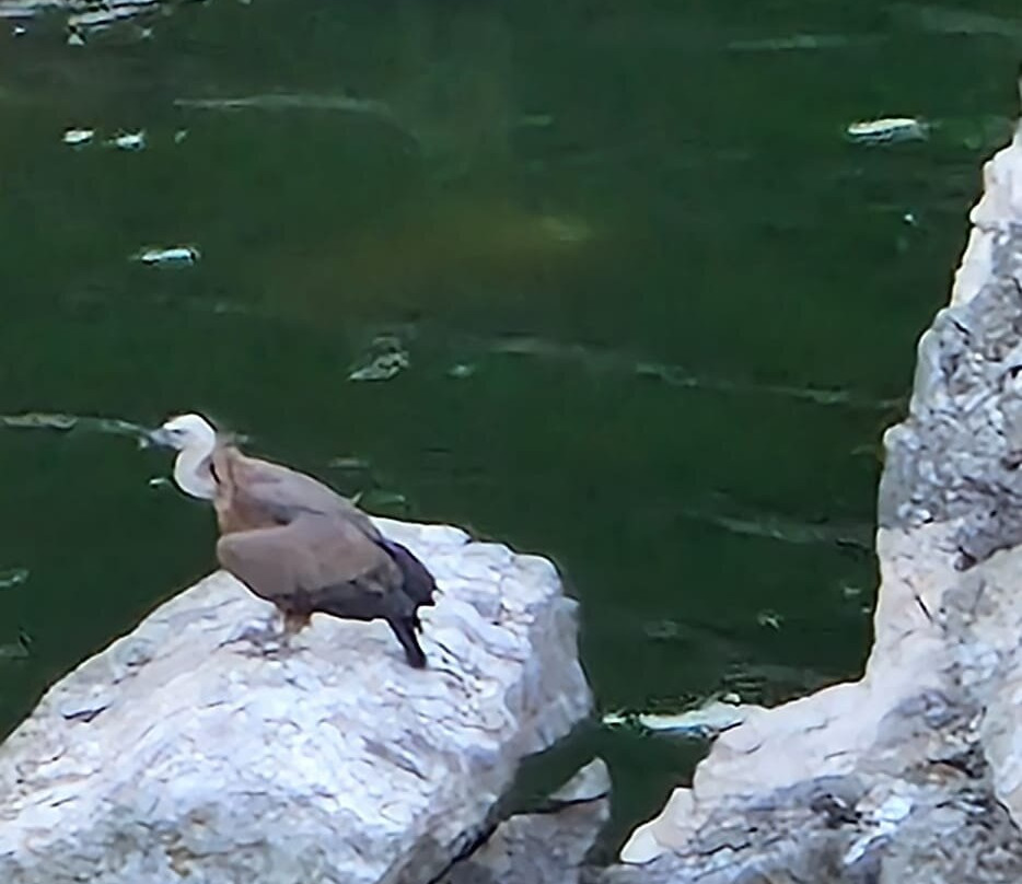 Birding Naturaleza-Plasencia必去景点