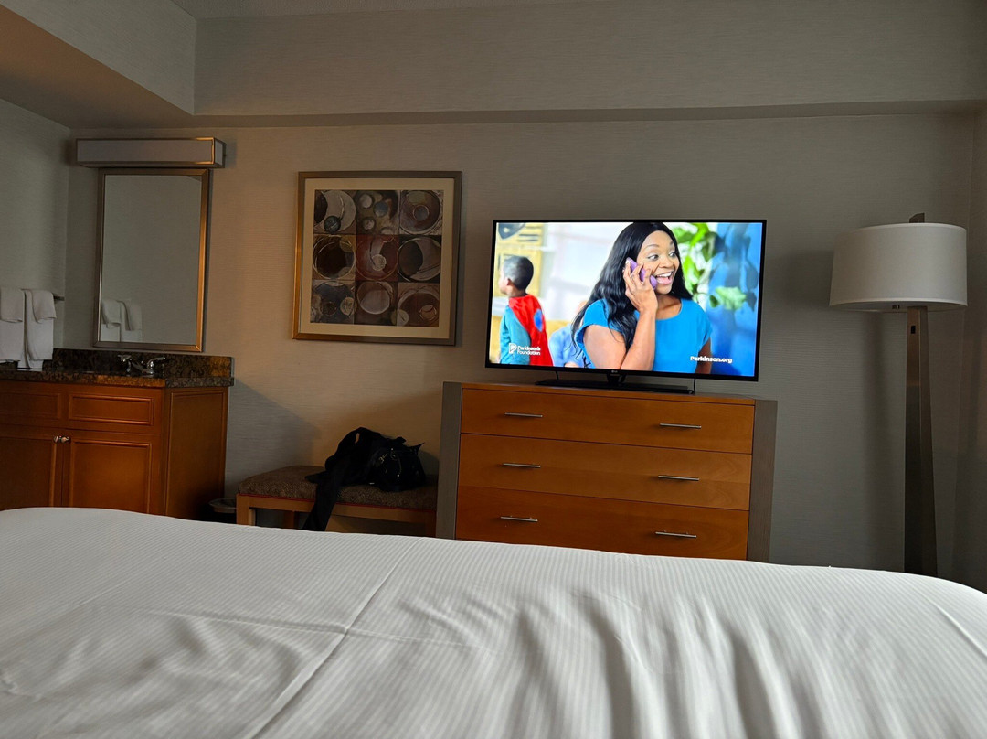 Hilton Rosemont/Chicago O'Hare主图