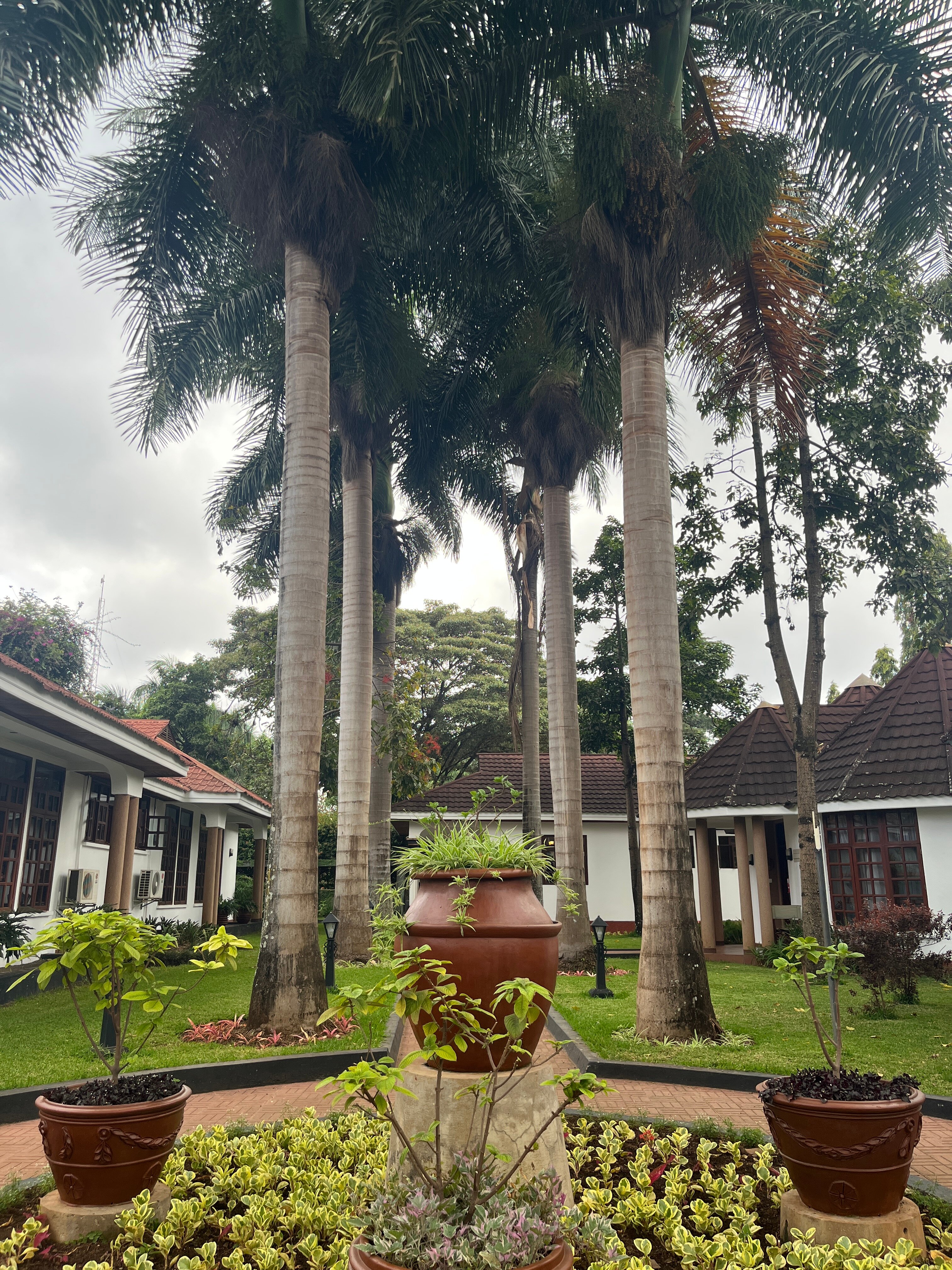 萨尔沙利诺酒店-官方