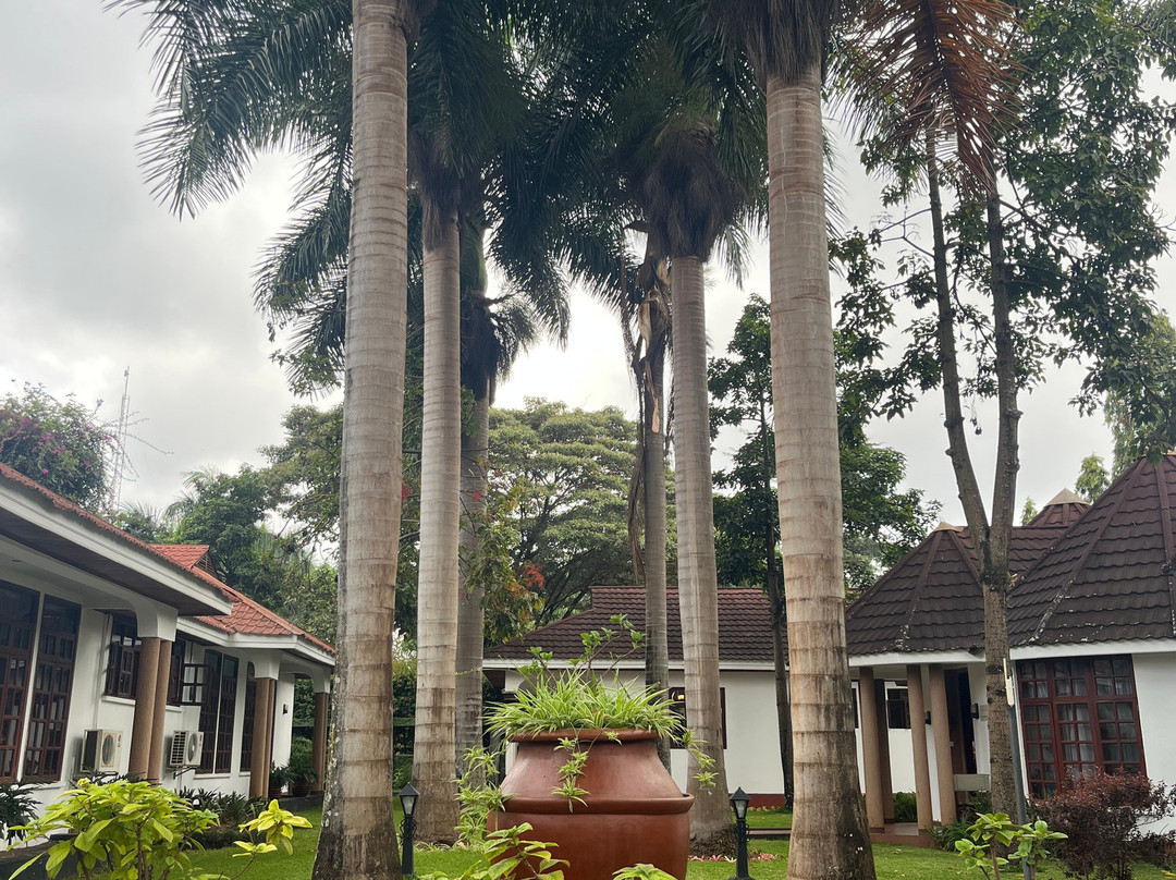 萨尔沙利诺酒店主图