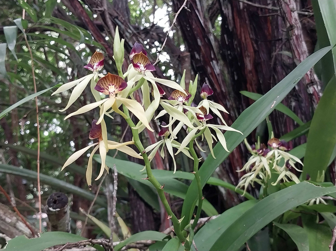 Hotel "Casa Las Lolas"