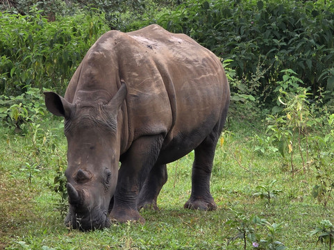 Tips-Travels UG-坎帕拉必去景点