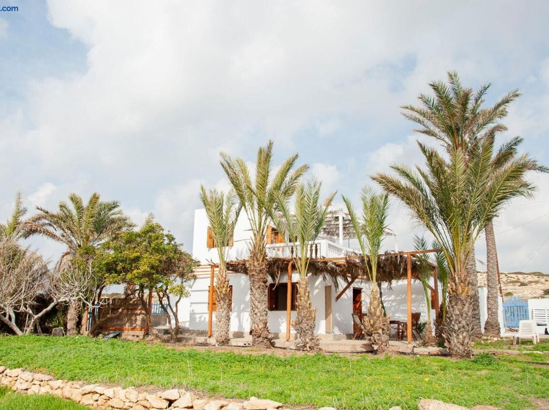 Palmhouses