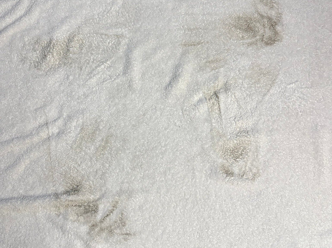 La Quinta Inn & Suites by Wyndham Springdale主图