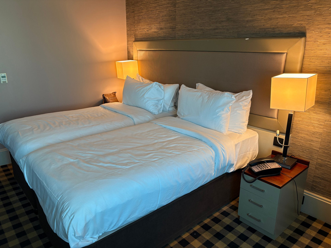 纽卡斯尔国际机场双树希尔顿酒店主图