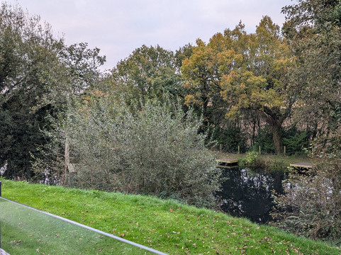 Hengar Manor Country Park主图