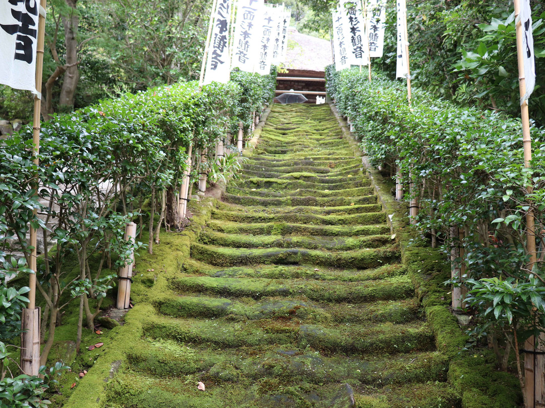Stairs of Moss-镰仓市必去景点