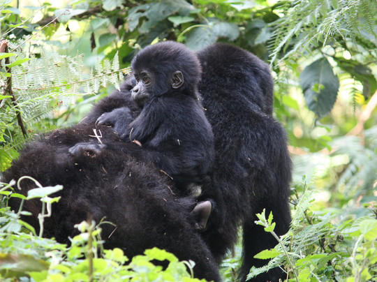 travel with twaha-坎帕拉必去景点