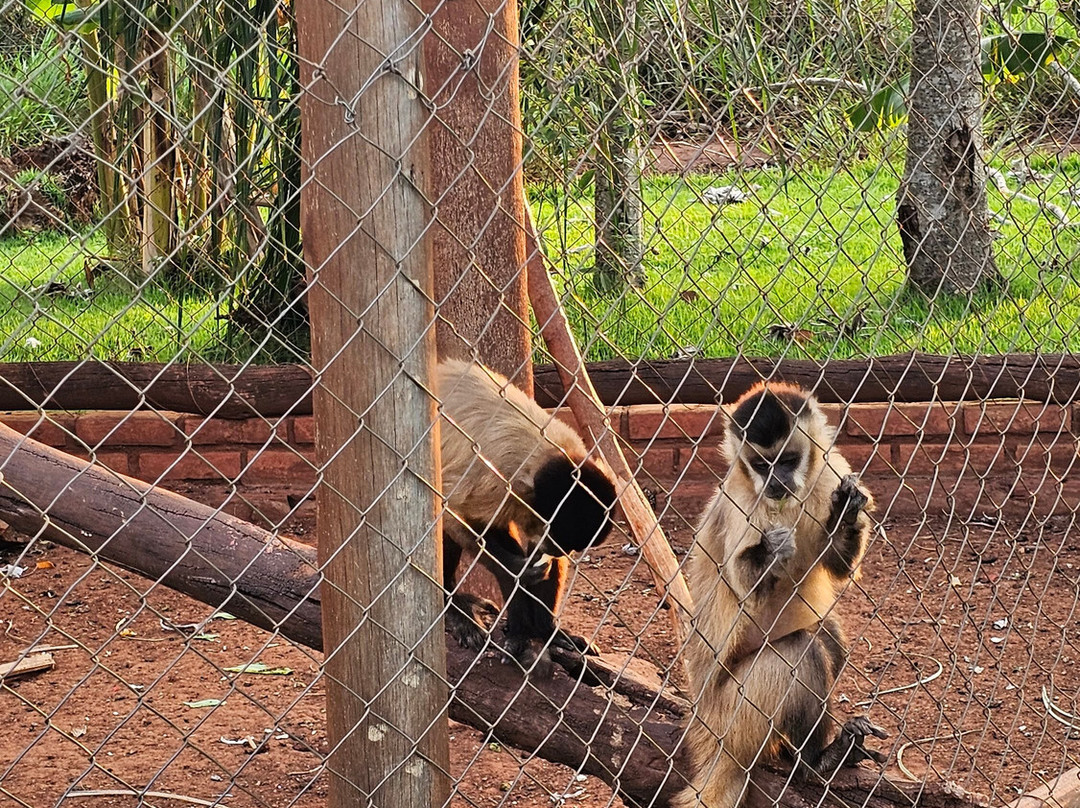 Bio Park-博尼图必去景点