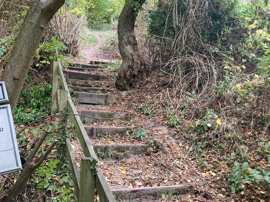 The Sharpenhoe Clappers-Barton-le-Clay必去景点
