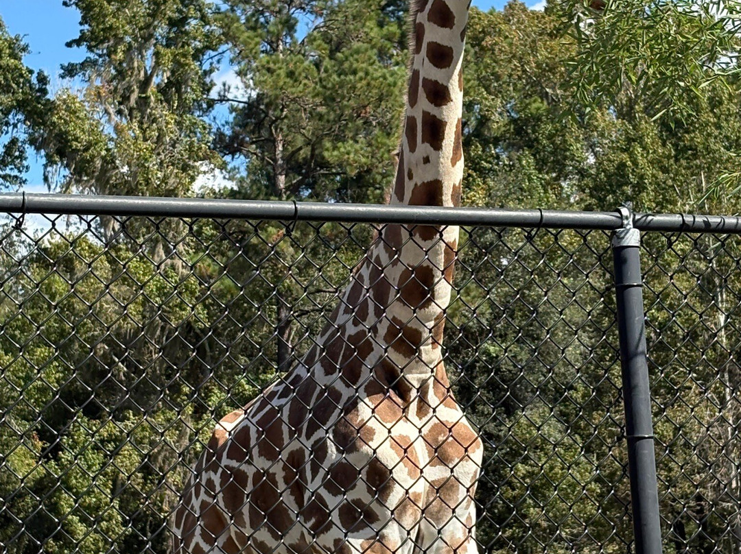 Carson Springs Wildlife Conservation Foundation-盖恩斯维尔必去景点