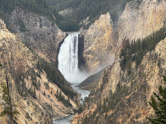 BrushBuck Wildlife Tours-西黄石镇必去景点